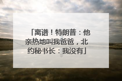 离谱！特朗普：他亲热地叫我爸爸，北约秘书长：我没有