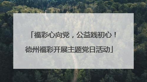 福彩心向党，公益践初心！德州福彩开展主题党日活动