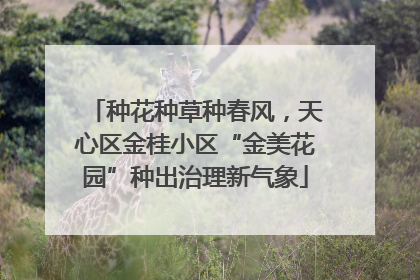 种花种草种春风，天心区金桂小区“金美花园”种出治理新气象