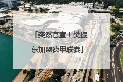 突然官宣！樊振东加盟德甲联赛