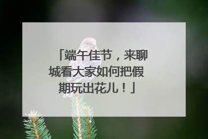 端午佳节，来聊城看大家如何把假期玩出花儿！