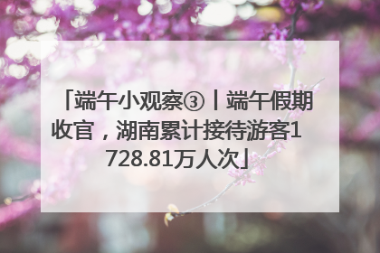 端午小观察③丨端午假期收官，湖南累计接待游客1728.81万人次