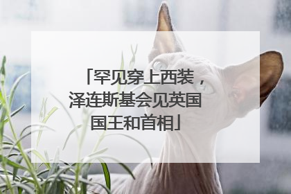 罕见穿上西装，泽连斯基会见英国国王和首相