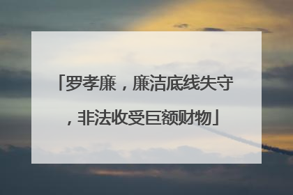 罗孝廉，廉洁底线失守，非法收受巨额财物