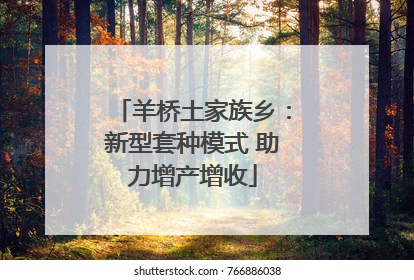 羊桥土家族乡：新型套种模式 助力增产增收