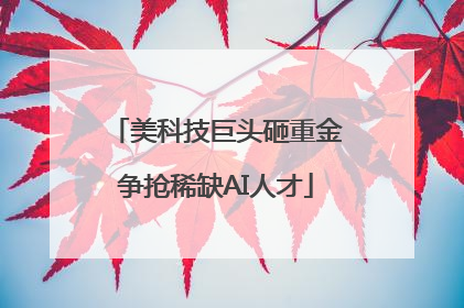 美科技巨头砸重金争抢稀缺AI人才