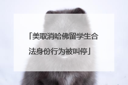 美取消哈佛留学生合法身份行为被叫停