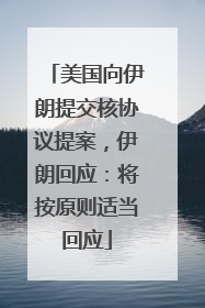 美国向伊朗提交核协议提案，伊朗回应：将按原则适当回应