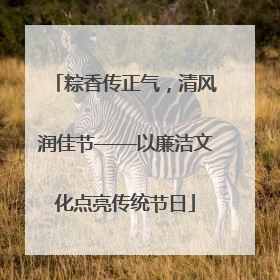 粽香传正气，清风润佳节——以廉洁文化点亮传统节日