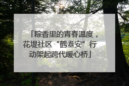 粽香里的青春温度，花堤社区“鹤耋安”行动架起跨代暖心桥