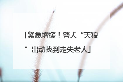 紧急增援！警犬“天狼”出动找到走失老人