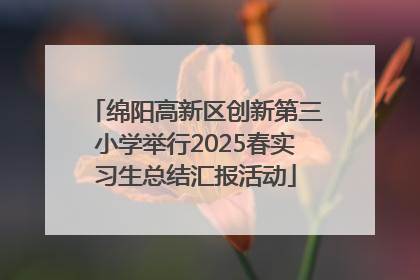 绵阳高新区创新第三小学举行2025春实习生总结汇报活动