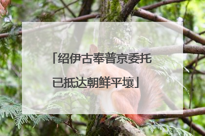 绍伊古奉普京委托已抵达朝鲜平壤