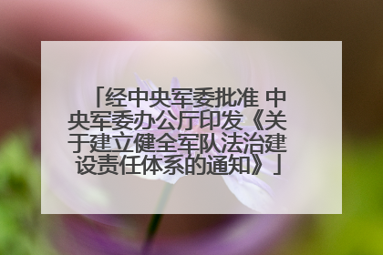 经中央军委批准 中央军委办公厅印发《关于建立健全军队法治建设责任体系的通知》