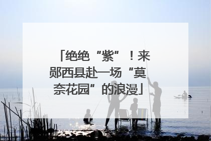 绝绝“紫”！来郧西县赴一场“莫奈花园”的浪漫