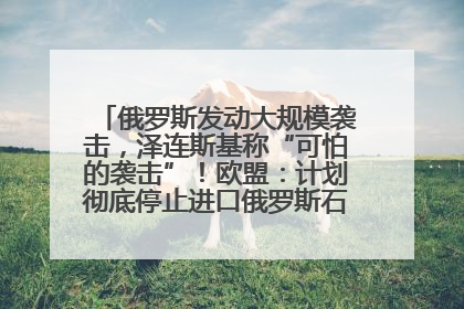 俄罗斯发动大规模袭击，泽连斯基称“可怕的袭击”！欧盟：计划彻底停止进口俄罗斯石油！油价飙涨
