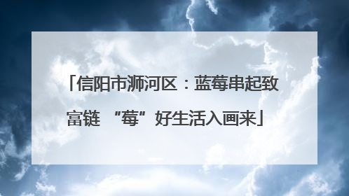 信阳市浉河区：蓝莓串起致富链 “莓”好生活入画来