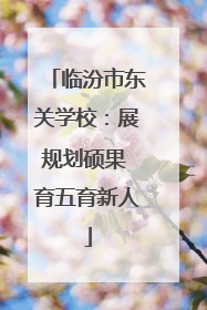 临汾市东关学校：展规划硕果 育五育新人