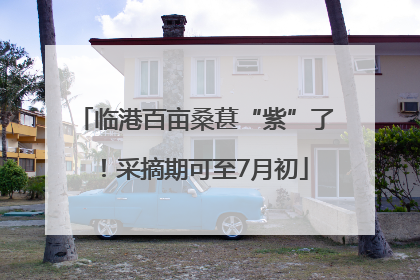 临港百亩桑葚“紫”了！采摘期可至7月初