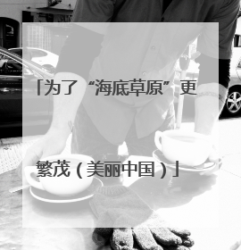为了“海底草原”更繁茂（美丽中国）