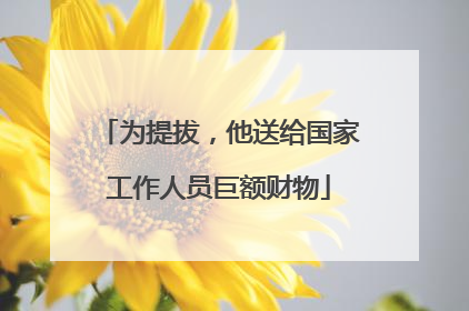 为提拔，他送给国家工作人员巨额财物