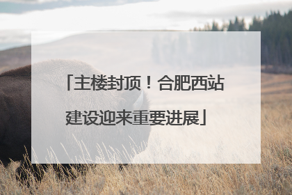 主楼封顶！合肥西站建设迎来重要进展