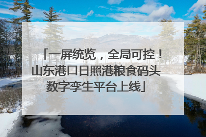 一屏统览，全局可控！山东港口日照港粮食码头数字孪生平台上线
