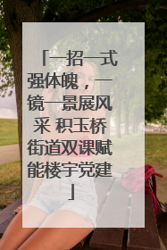 一招一式强体魄，一镜一景展风采 积玉桥街道双课赋能楼宇党建