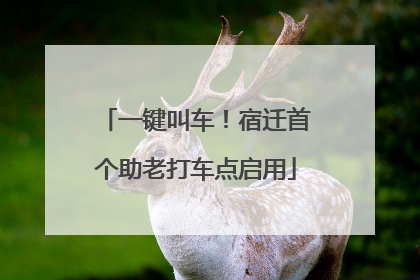 一键叫车！宿迁首个助老打车点启用