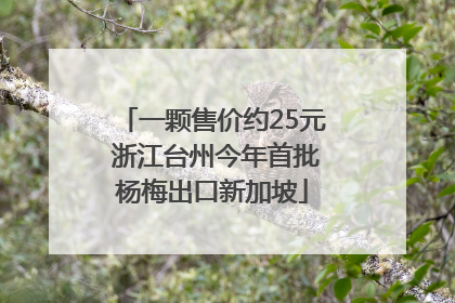 一颗售价约25元 浙江台州今年首批杨梅出口新加坡