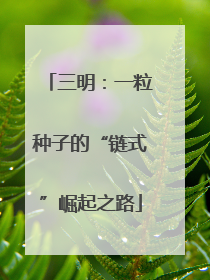 三明：一粒种子的“链式”崛起之路