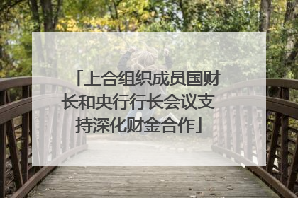 上合组织成员国财长和央行行长会议支持深化财金合作