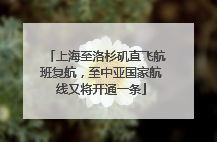 上海至洛杉矶直飞航班复航，至中亚国家航线又将开通一条