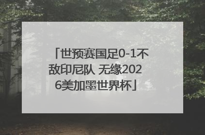 世预赛国足0-1不敌印尼队 无缘2026美加墨世界杯