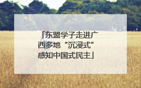 东盟学子走进广西多地“沉浸式”感知中国式民主