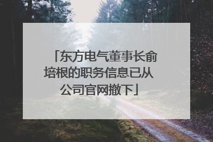 东方电气董事长俞培根的职务信息已从公司官网撤下