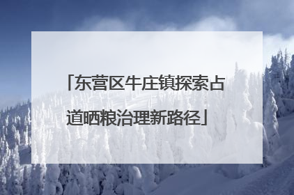 东营区牛庄镇探索占道晒粮治理新路径