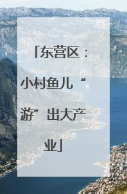 东营区：小村鱼儿“游”出大产业