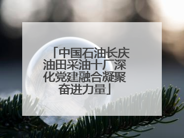 中国石油长庆油田采油十厂深化党建融合凝聚奋进力量