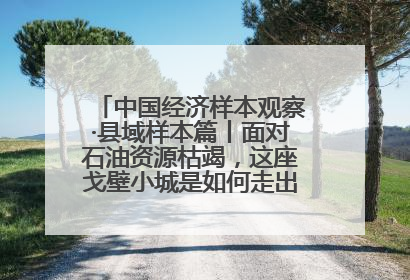 中国经济样本观察·县域样本篇丨面对石油资源枯竭，这座戈壁小城是如何走出困境的？