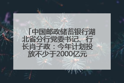 中国邮政储蓄银行湖北省分行党委书记、行长肖子政：今年计划投放不少于2000亿元支持支点建设