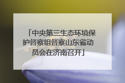 中央第三生态环境保护督察组督察山东省动员会在济南召开