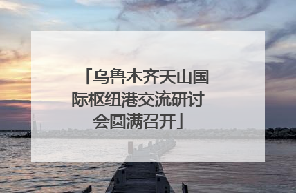 乌鲁木齐天山国际枢纽港交流研讨会圆满召开