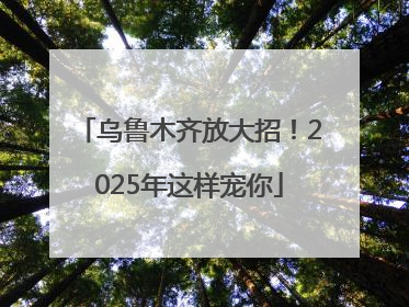 乌鲁木齐放大招！2025年这样宠你