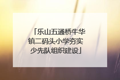 乐山五通桥牛华镇二码头小学夯实少先队组织建设