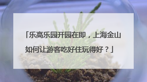 乐高乐园开园在即，上海金山如何让游客吃好住玩得好？