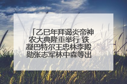 乙巳年拜谒炎帝神农大典隆重举行 铁凝巴特尔王忠林李殿勋张志军林中森等出席 孙伟主持
