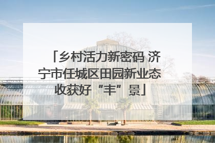 乡村活力新密码 济宁市任城区田园新业态收获好“丰”景