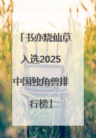 书亦烧仙草入选2025中国独角兽排行榜