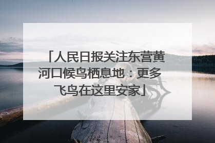 人民日报关注东营黄河口候鸟栖息地：更多飞鸟在这里安家